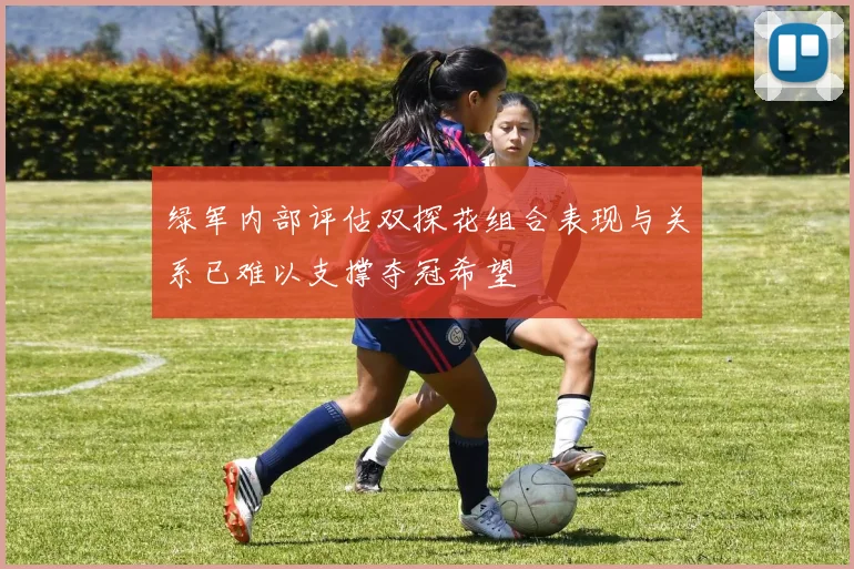 绿军内部评估双探花组合表现与关系已难以支撑夺冠希望